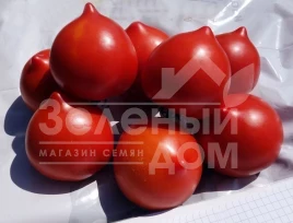 Семена томатов Тапер F1 / Taper F1 Семена томатов Тапер F1 / Taper F1 купить оптом и в розницу в Украине по выгодной цене
